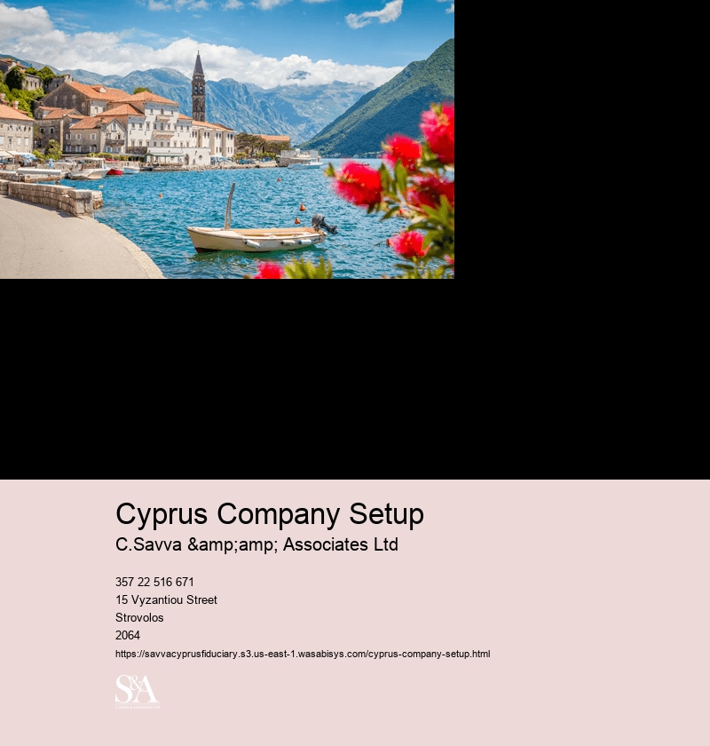 Cyprus Company Setup